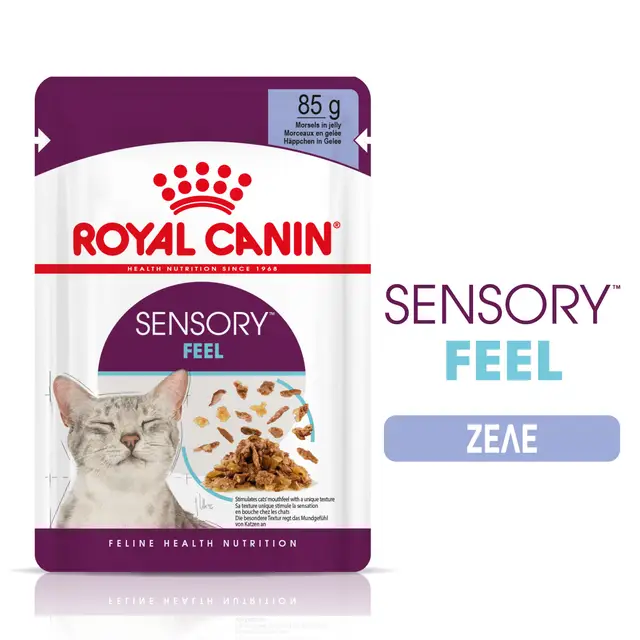 royal canin sensory feel jelly